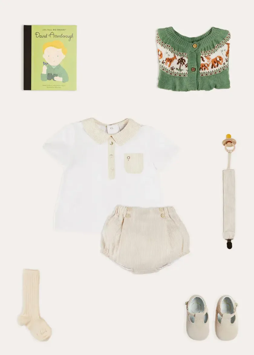 Lookbooks | Pepa London Safari Intarsia Cardigan in Green (6mths-6yrs) | Waterford Striped Polo Collar Short Sleeve Top in Beige (12mths-4yrs) | Striped Button Detail Bloomers in Beige (3mths-3yrs) | Suede T-Bar Pram Shoes in Beige (17-20EU) | Ribbed Short Socks in Beige (0mths-10yrs) | Little People, Big Dreams - David Attenborough Book in Green | Waterford Striped Dummy Clip in Beige