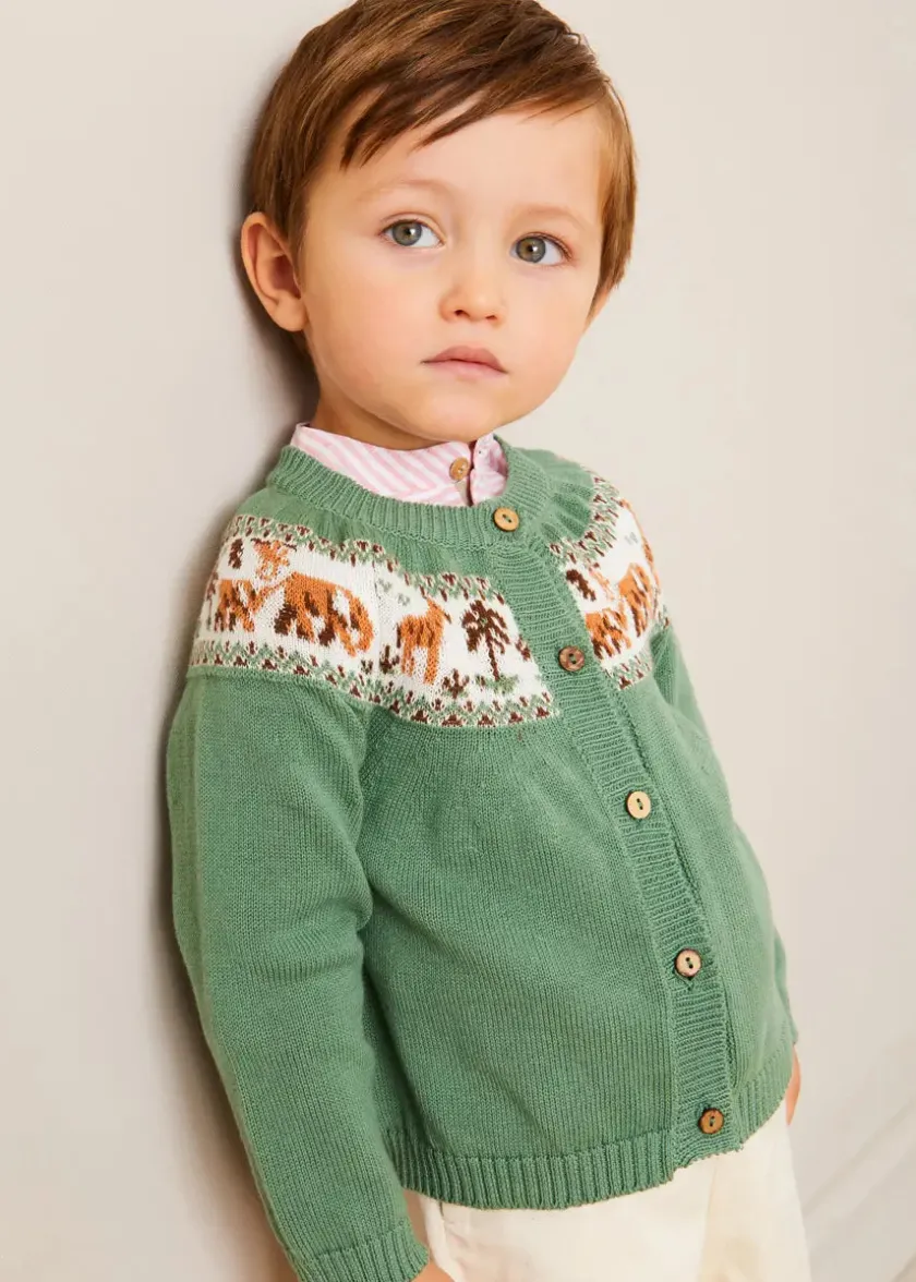 Lookbooks | Pepa London Safari Intarsia Cardigan in Green (6mths-6yrs) | Hertford Striped Mao Collar Long Sleeve Shirt in Coral (12mths-10yrs) | Faux Pocket Elasticated Waist Shorts in Ivory (12mths-4yrs) | Leather T-Bar Baby Shoes in Brown (20-26EU) | Ribbed Short Socks in Beige (0mths-10yrs) | Little People, Big Dreams - David Attenborough Book in Green